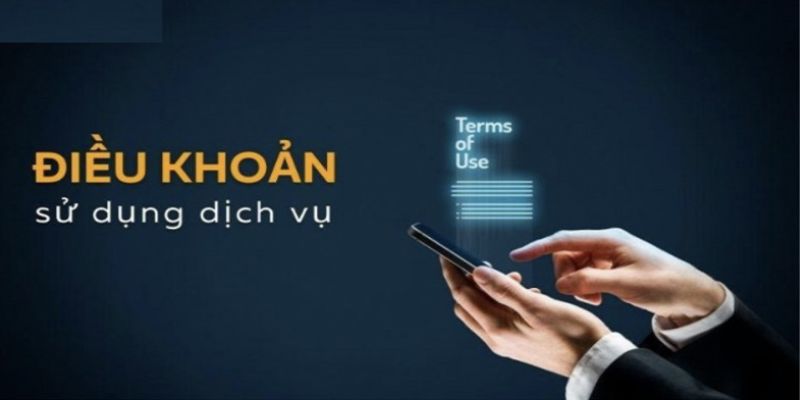 Những nội dung cần ghi nhớ trong chính sách điều khoản